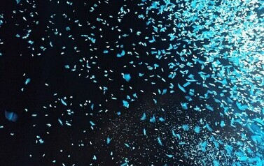 S6 SUMMER FEST Powiat Słupski otwarty dla wszystkich 2