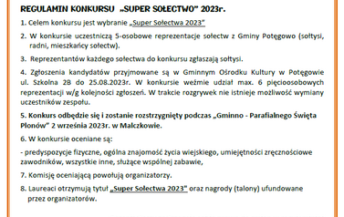 Gminno Parafialne Święto Plon&oacute;w 2023 3