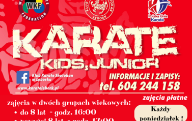 karate 1
