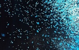 S6 SUMMER FEST Powiat Słupski otwarty dla wszystkich 2